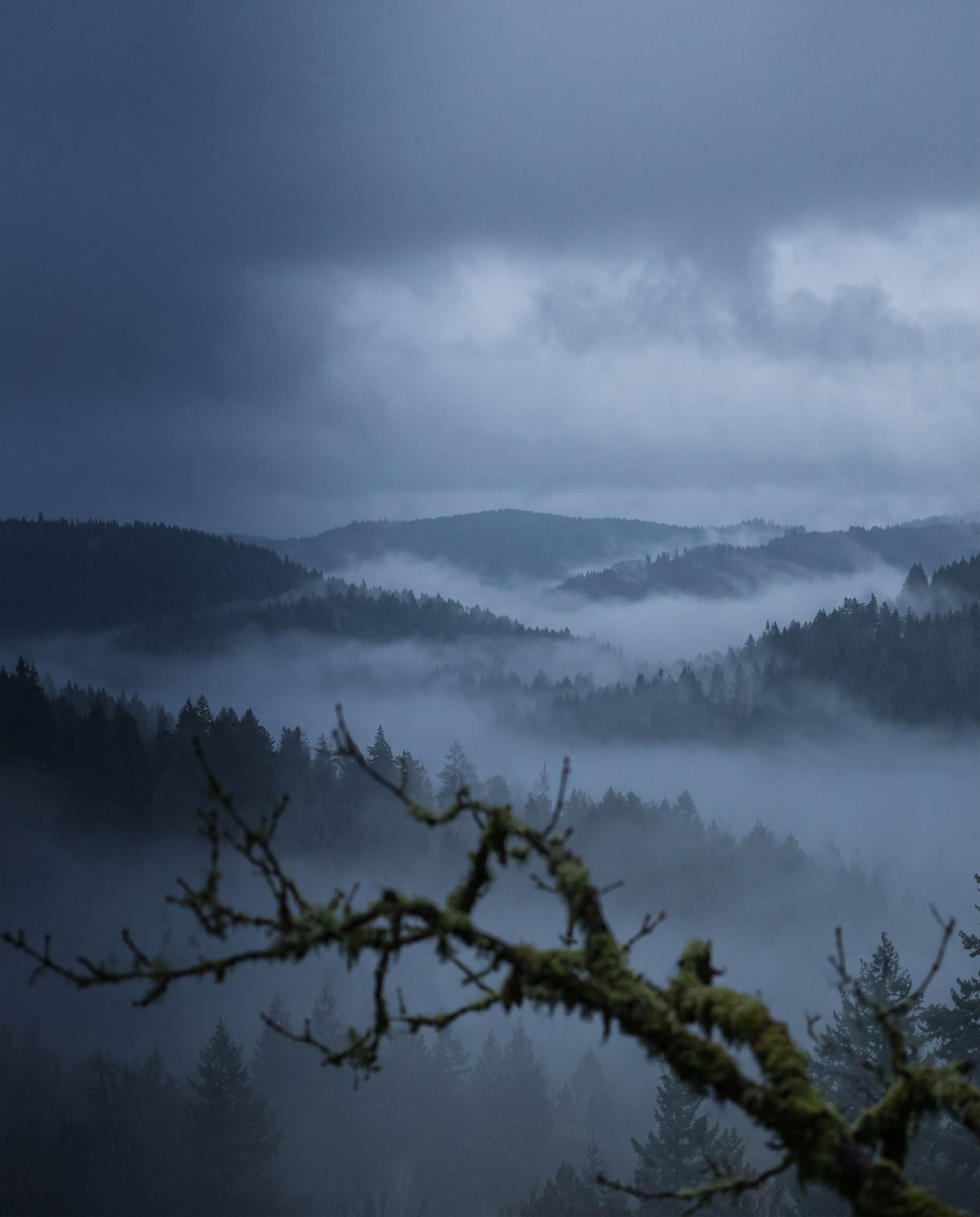 Nebel in den Tälern bewaldeter Hügel unter bewölktem Himmel